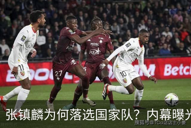 张镇麟为何落选国家队？内幕曝光，叫人心疼，郭士强并没放弃他